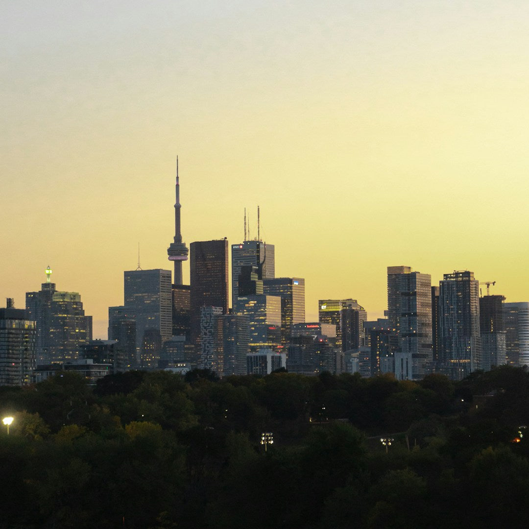 Toronto skyline seen from Riverdale Park in the east end, with autumn trees in the foreground