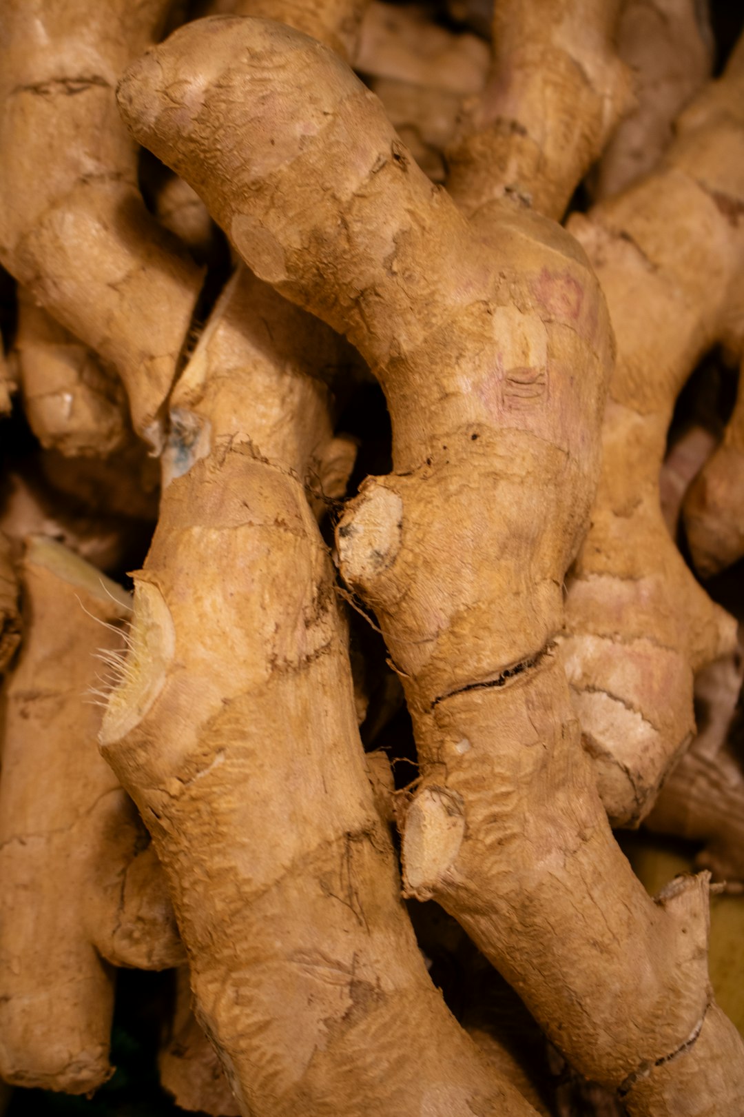 Fresh ginger root close up